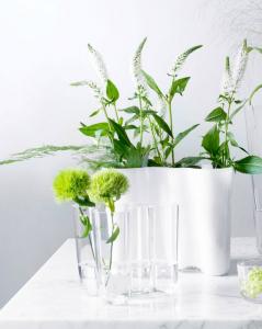 Iittala Aalto Vase