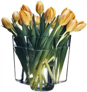 iittala-aalto-vase-hoehe-16-cm-design-alvar-aalto