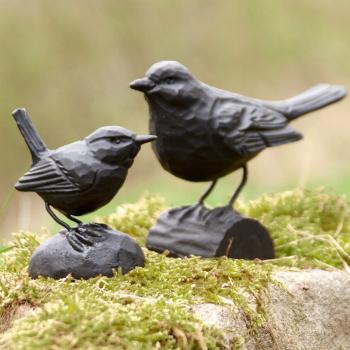 Wildlife Garden Gusseisen Amsel