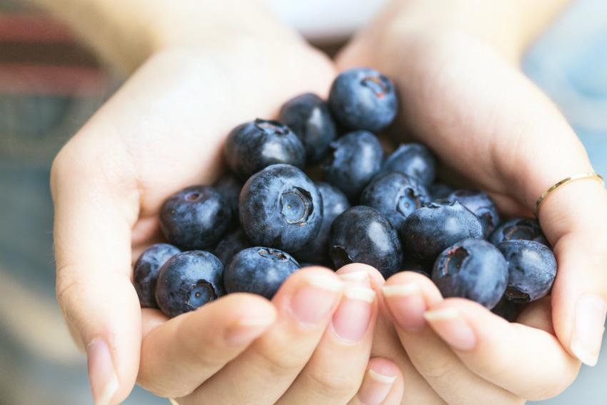 Blaubeeren sind lecker und gesund