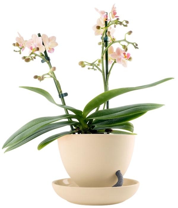 Eva Solo Blumenuebertopf 13 cm selbstbewaessernd sand Skandinavische Blumenuebertoepfe