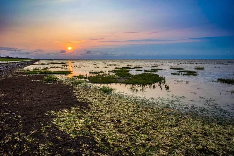 Wattenmeer Insel Romo Daenemark