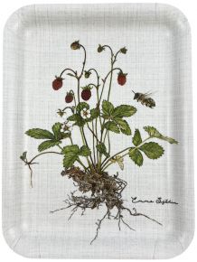 Emma Sjödin Tablett 15x20 cm Wilde Erdbeeren