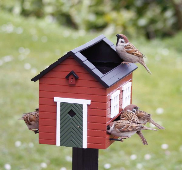 Wildlife Garden Futterhäuschen & Vogelbad