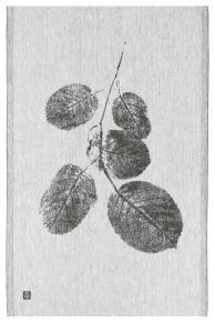 Lapuan Kankurit Teemu Järvi Paju (Weide) Geschirrtuch 46x70 cm weiß, schwarz